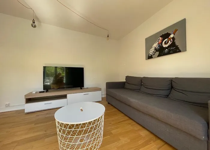 Apartament Laura Cosy T2 *clim* Proche Gare